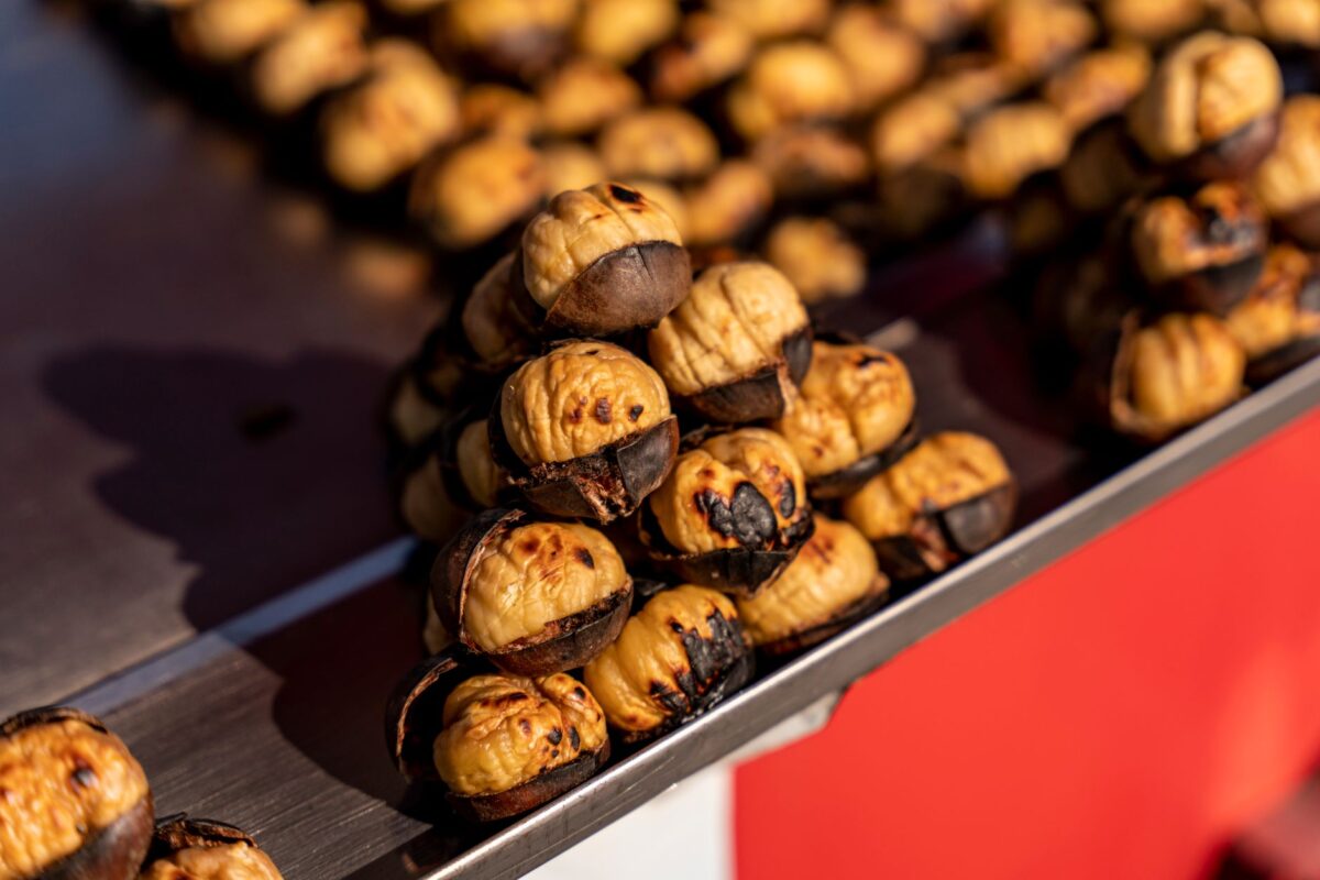 marrons comestibles toxiques marron inde se